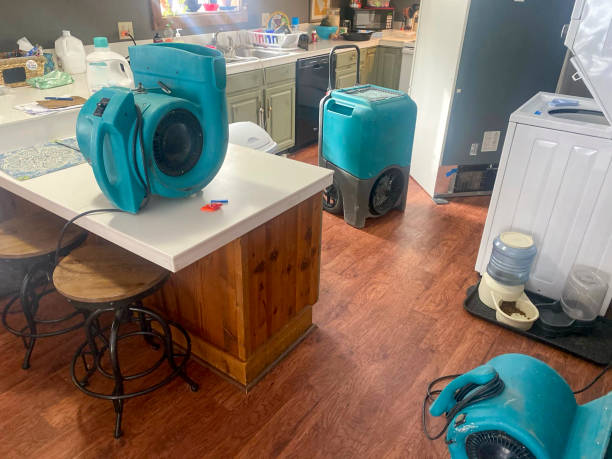 Best 24/7 water damage repair  in Clifton, CO