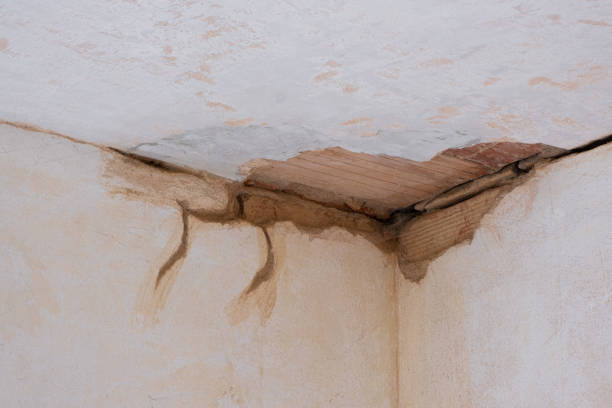 Water damage restoration experts in Clifton, CO