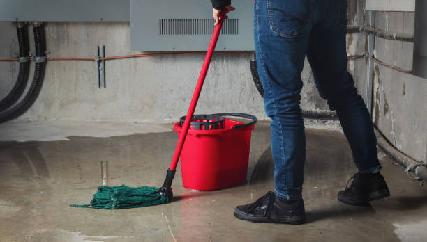 Best Professional water damage repair  in Clifton, CO