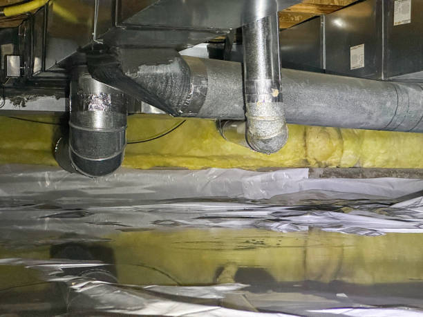 Best Sewage cleanup and water damage restoration  in Clifton, CO