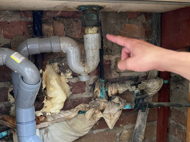 Best Commercial water damage restoration  in Clifton, CO